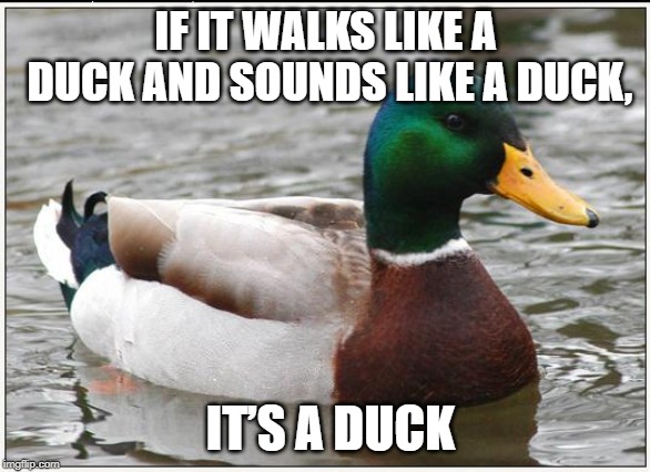 ’If it walks like a duck and sounds like a duck, it’s a duck’