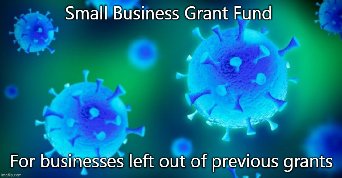 Small Business Grant Fund